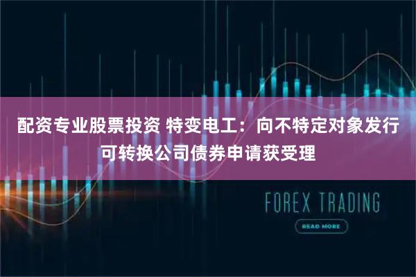 配资专业股票投资 特变电工：向不特定对象发行可转换公司债券申请获受理